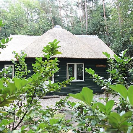 Vakantiehuis 'T Musje Epe Oda fotoğraf