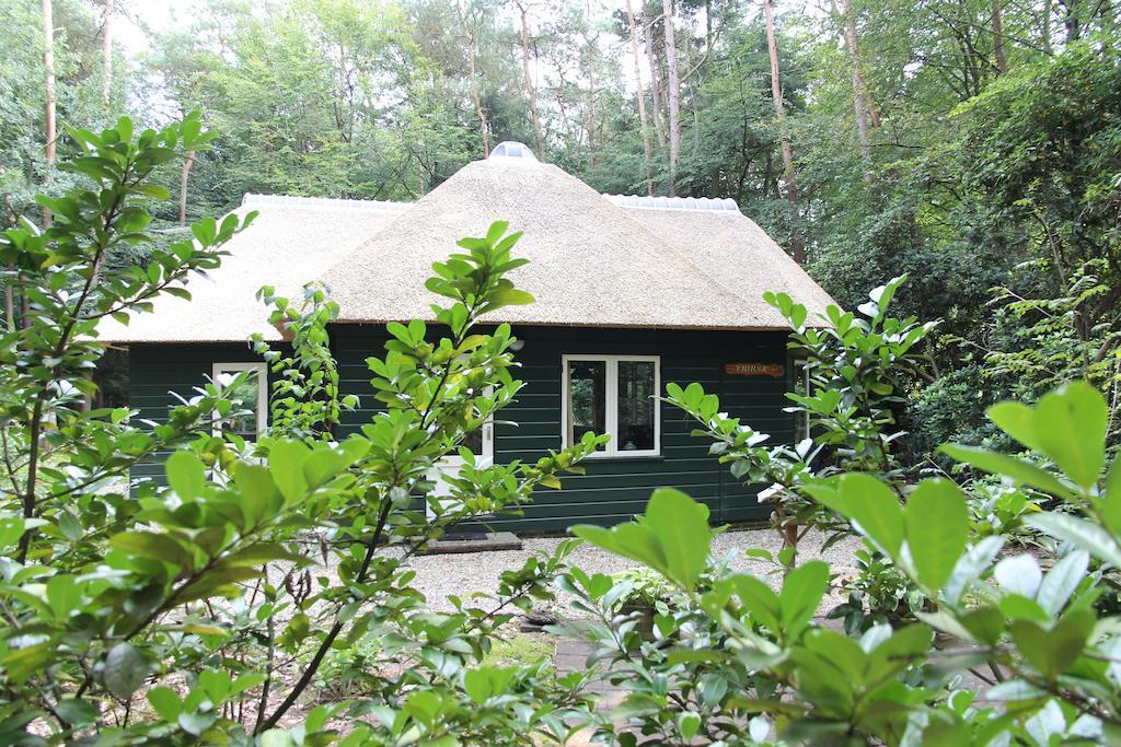 Vakantiehuis 'T Musje Epe Oda fotoğraf